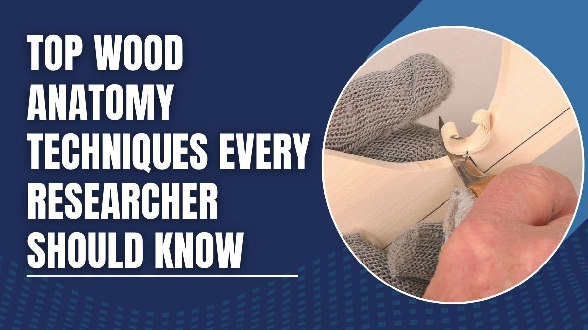 Top Wood Anatomy Techniques Every Researcher Should Know